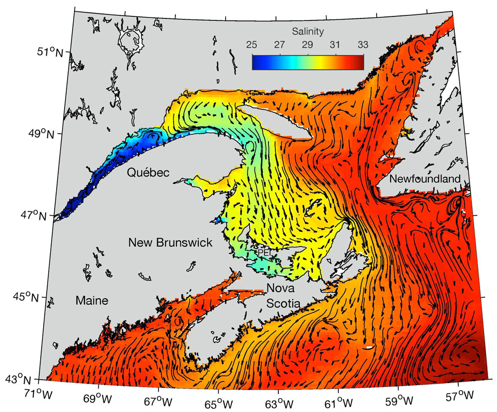 Technical Summaries  Ocean Tracking Network