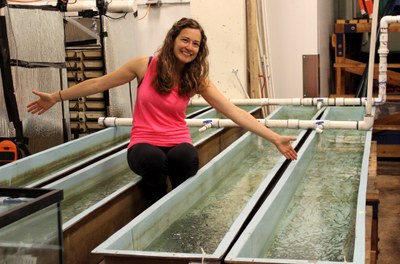 Natalie Sopinka's PhD research on the effects of stress in Pacific salmon 3