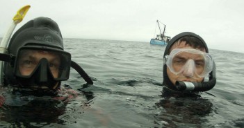 Rick Mercer goes shark tagging