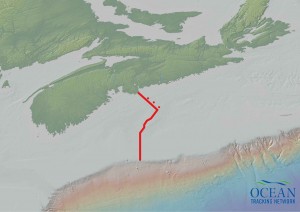 The Ocean Tracking Network 'Halifax Line' is comprised of over 200 acoustic receivers that record the movements of tagged animals.