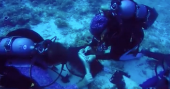 Tagging beneath the waves