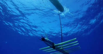 Network effect: the robots, sensors and satellites digitizing the ocean (Oceans Deeply)