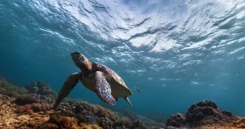 Science voices needed to support Australia’s marine park