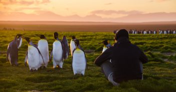 Kerguelen saga: part deux — The final leg (episode 5)