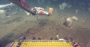 Hats off to this collaboration: SponGES pairs up with Ocean Tracking Network to study unique deepwater sponge