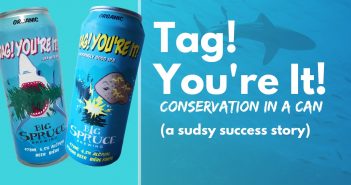 Tag! You’re It! conservation in a can: a sudsy success story