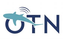 New Year, New Logo
