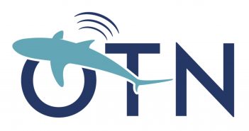 New Year, New Logo