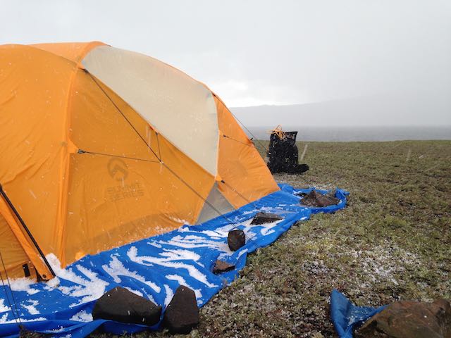 Acoena_tents with hail