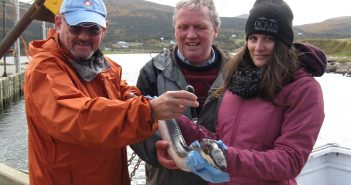 Eeltrack film documents migration of American eels from Nova Scotia to the Sargasso Sea