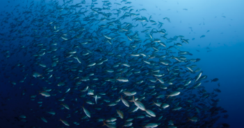 Addressing concerns regarding the misuse of animal tracking data