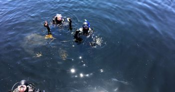 Recap: Oceans Week 2019