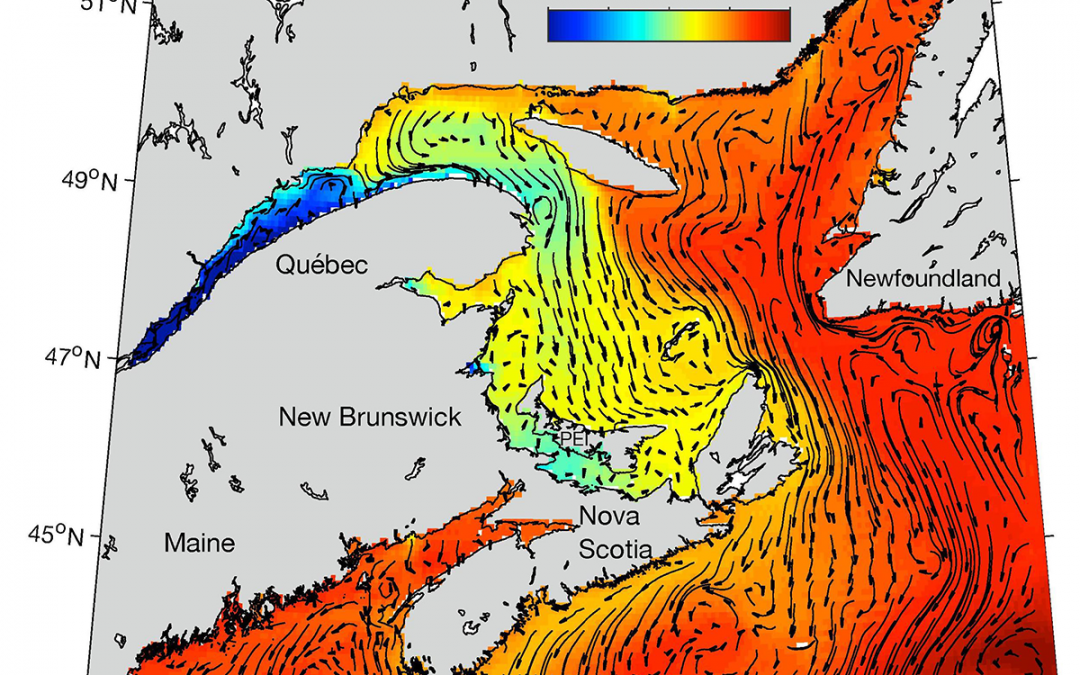 Decoding the drivers of animal movement using computer models (4.1)