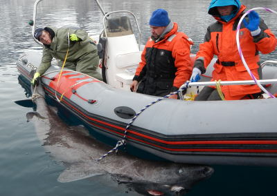 Emerging Arctic fisheries (4.11)