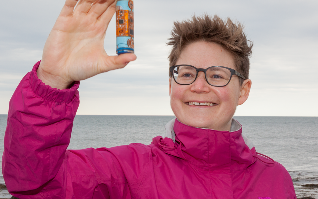 Monitoring fine-scale aquatic animal movements and behaviour (4.3)