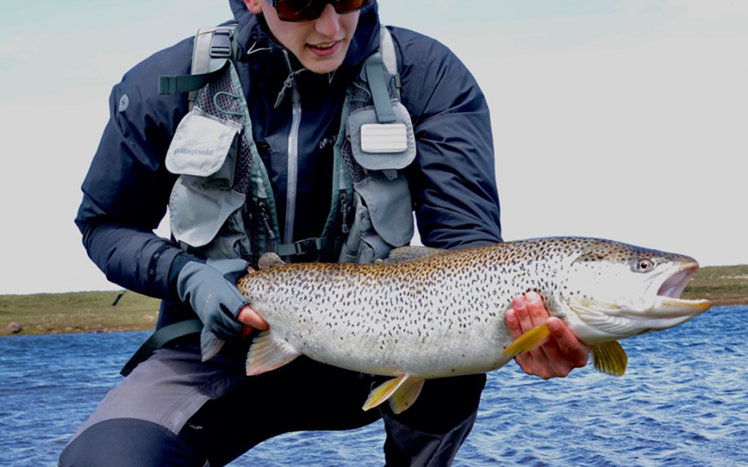 The effects of overwintering and migration on Atlantic salmon in the Bras d’Or Lake (4.4)