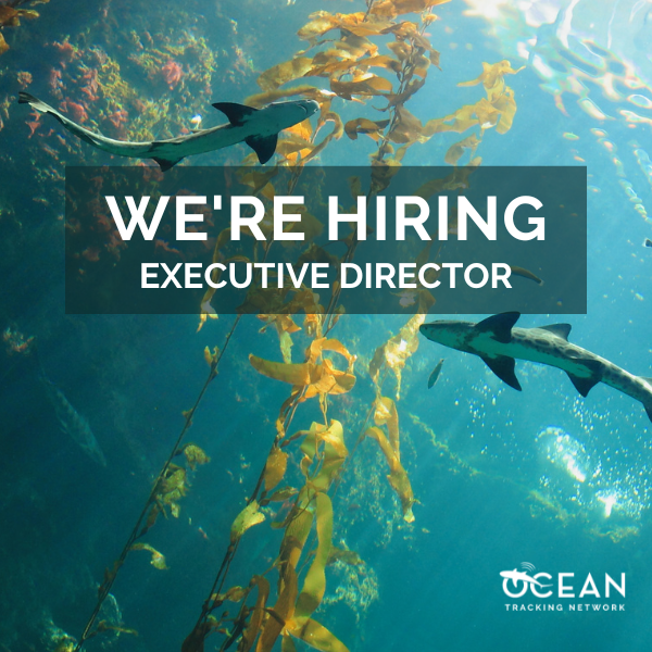We’re hiring: Executive director