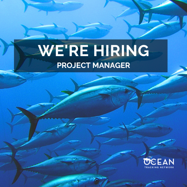 We’re hiring: Project manager