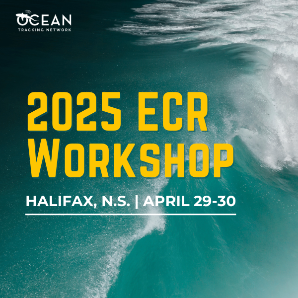 2025 ECR Workshop