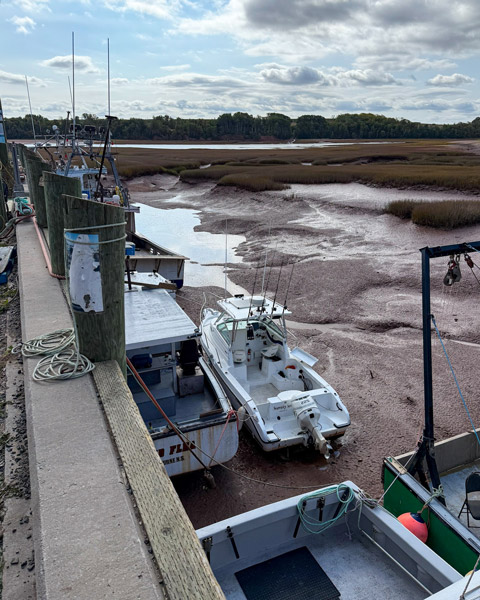 Boats sitting on the seafloor beside a dock.