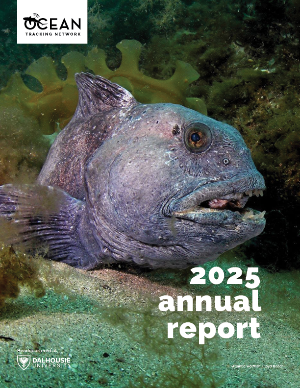 2023 Ocean Tracking Network annual report