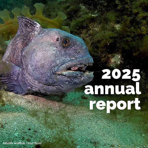 The Ocean Tracking Network annual report 2025