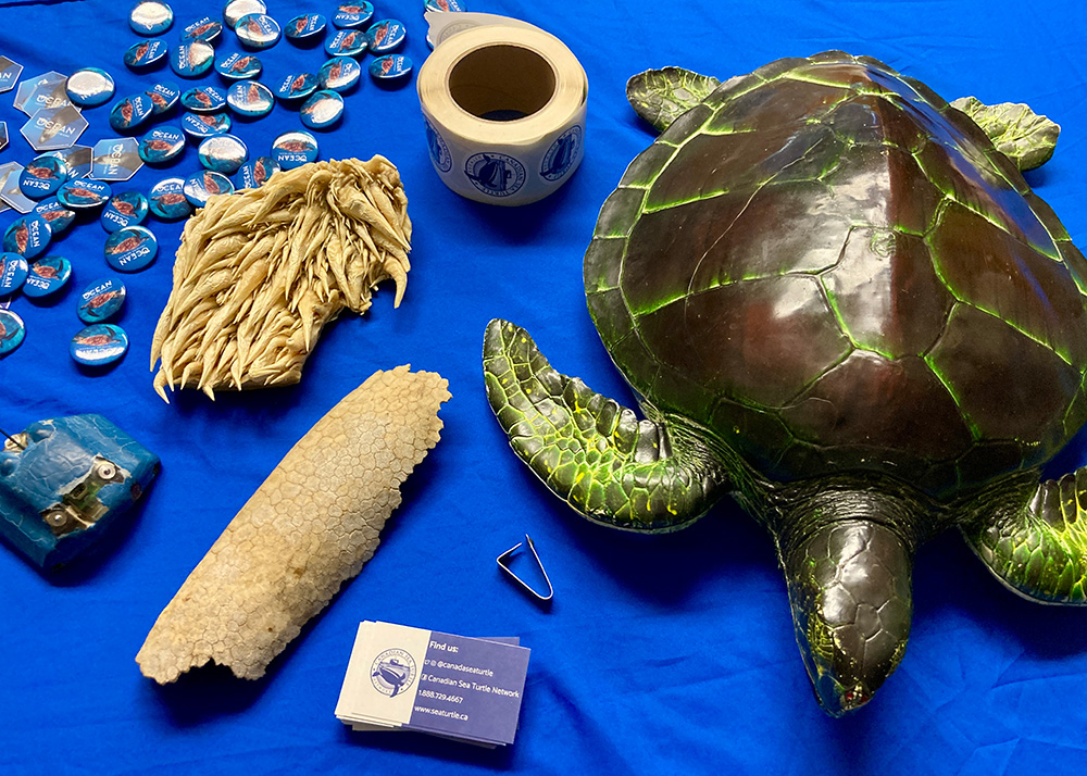 An overview of objects promoting the Canadian Sea Turtle Network's work on a blue tablecloth.