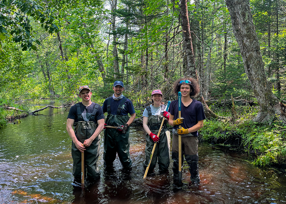 Four young adults doing habitat restoration work in a river.