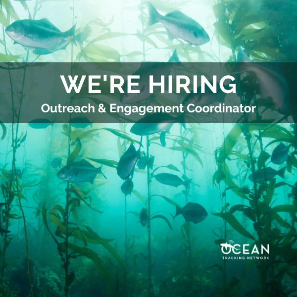 We’re hiring: Outreach and engagement coordinator