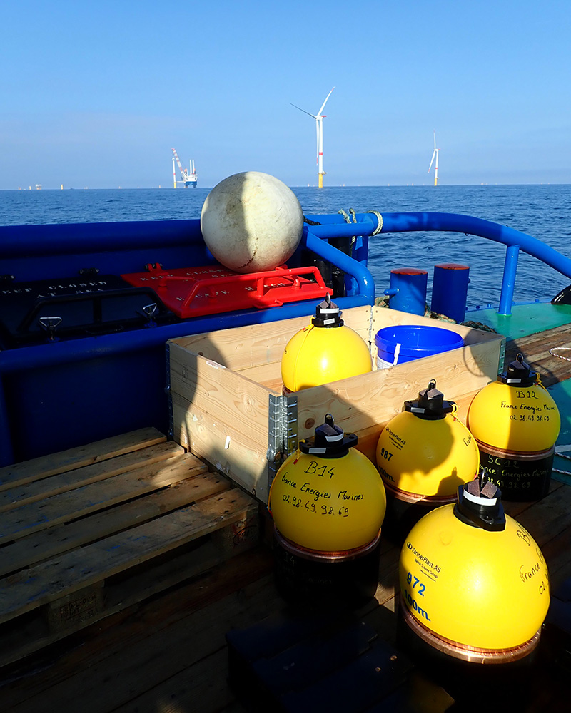 Mooring floats on a boat in front of an offshore wind farm.
