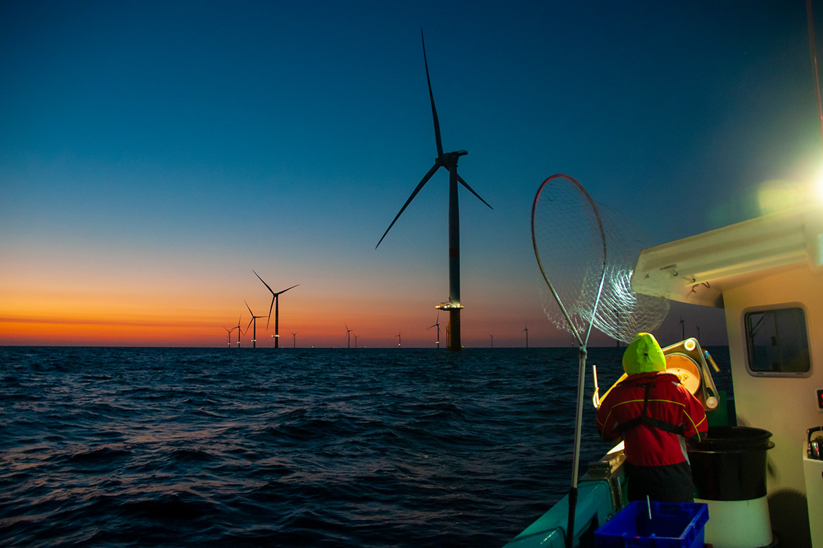 Offshore wind farm at sunset